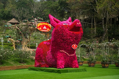 Chú lợn lớn nhất Việt Nam được làm bằng hơn 10.500 hoa hồng tươi.
